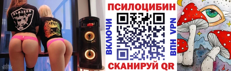 Галлюциногенные грибы Psilocybine cubensis Тихорецк